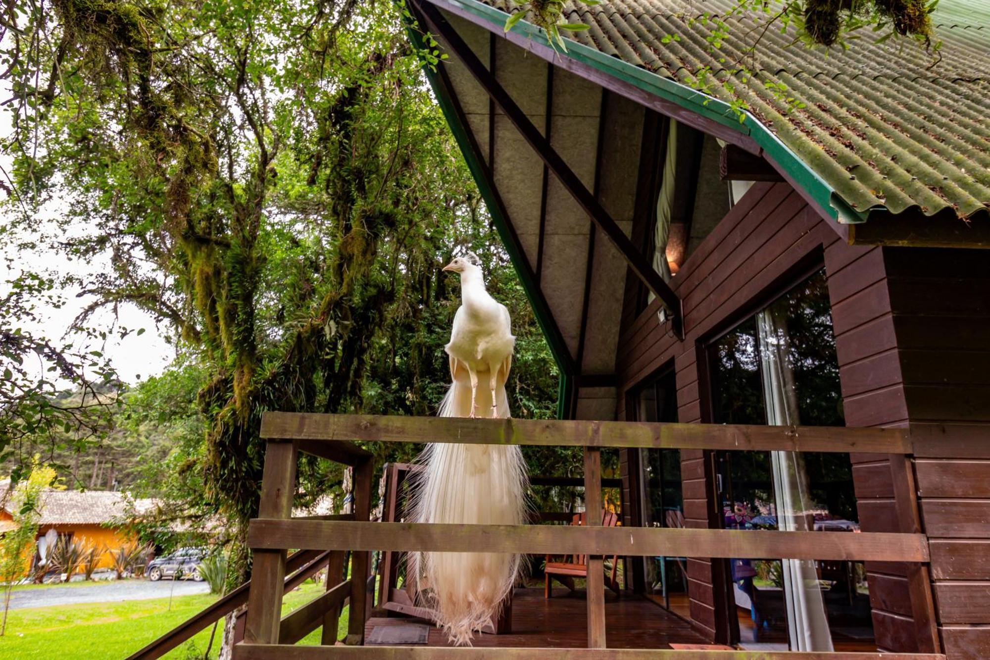 Jardim Do Buda - Cafe E Piscina 賓館
